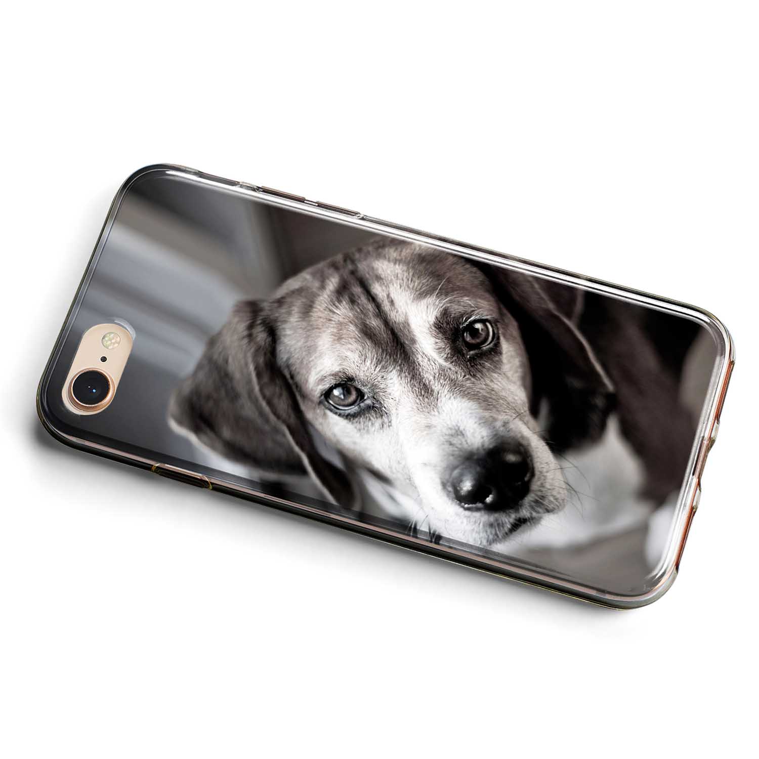 Samsung Unlocked Compatible Carriersohio Beagle Puppies For Saleterms Of Use - xv9gt5m
